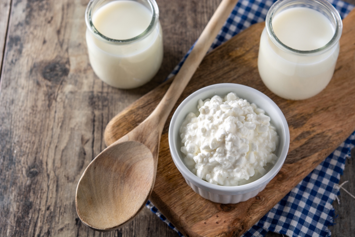 Probiotic Dairy Starter Cultures