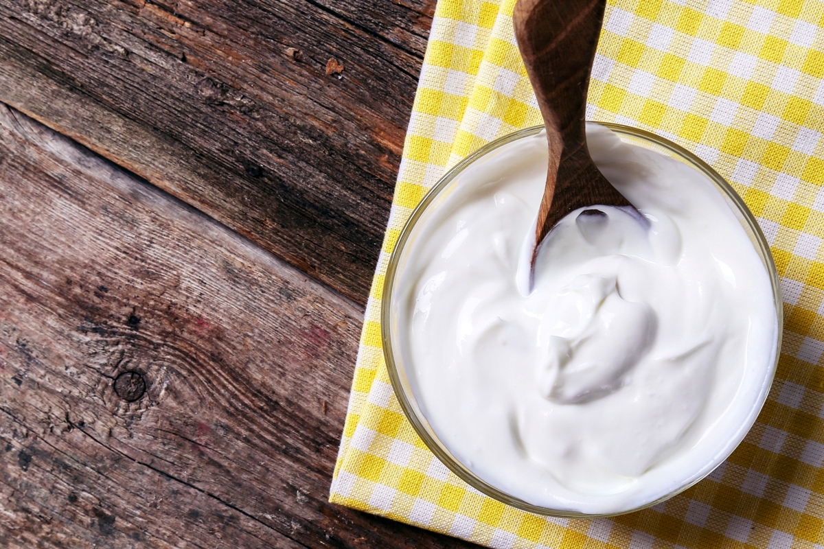Yoghurt and Fermented Milk Starter Culture